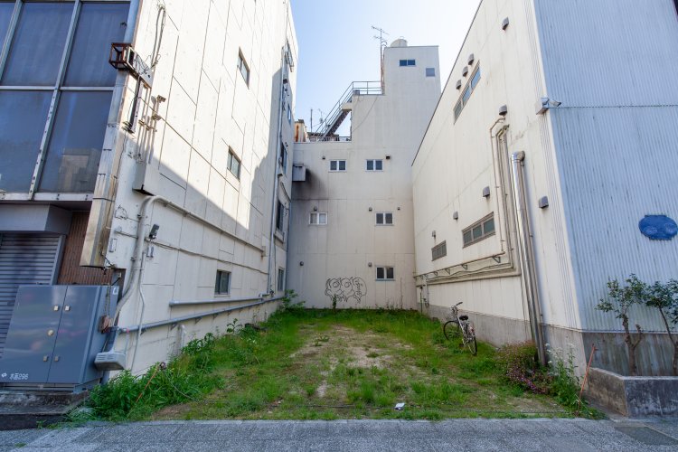 植物の様子から人の営みがうかがえる。