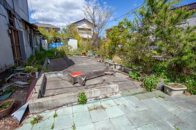 かつての暮らしが半分自然に飲み込まれつつある空き地。