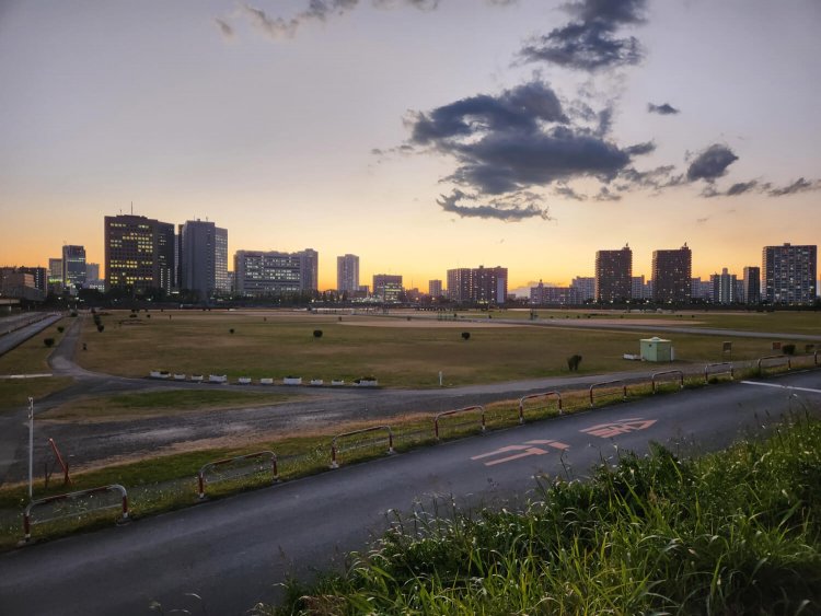 多摩川の河川敷。野球場やサッカー場などが何面も広がる。