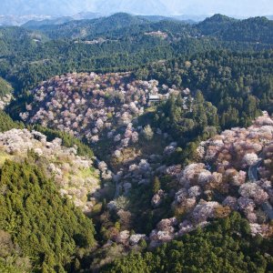空から見るニッポン。ただいま、奈良県吉野町の上空です！