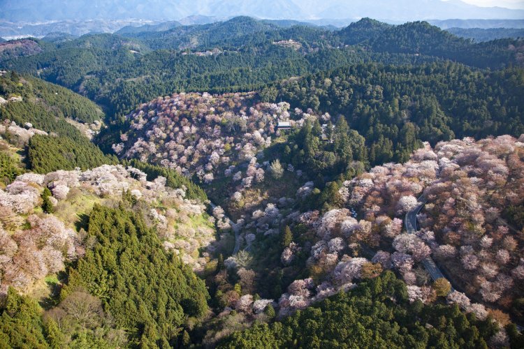 空から見るニッポン。ただいま、奈良県吉野町の上空です！