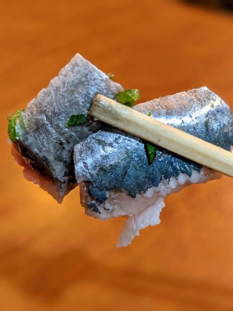 銀色に輝く美しいイワシ！