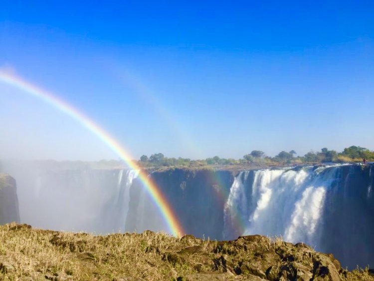 あなたには何色あるように見える？ 