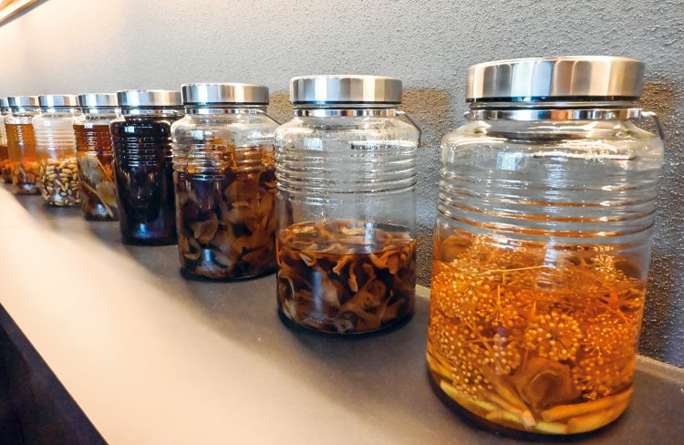 館内のバーでは、マタタビやドクダミなど周辺の山で採れる野草を漬け込んだ野草酒がおすすめ。