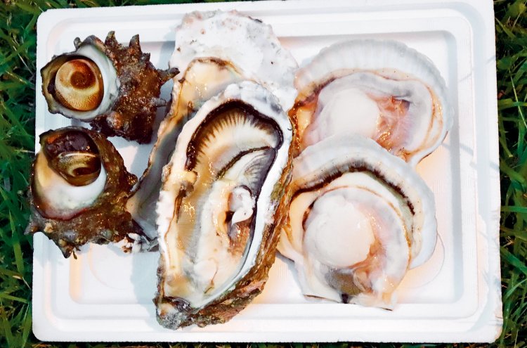 「水産大国」でバーベキュー用に選んだ「宮城県唐桑の牡蠣」など。殻も外してくれる。