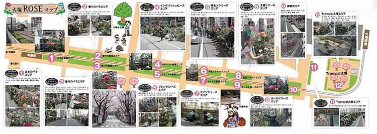 【としまらいふ】大塚バラまつり