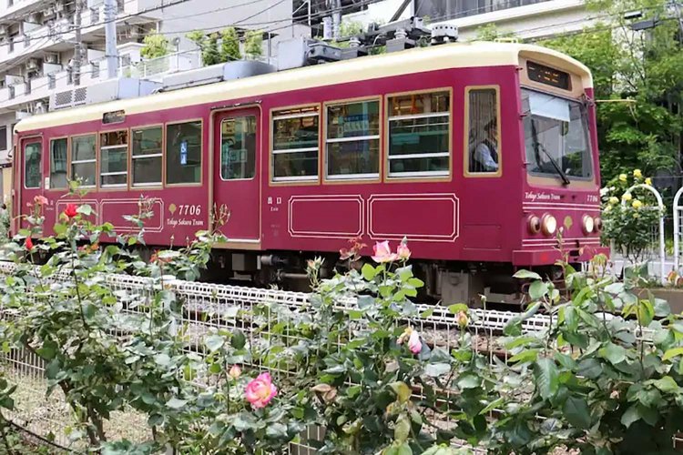 【としまらいふ】大塚バラまつり