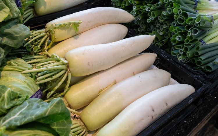 【東京おでんだね】東久留米卸売市場とおでん食材