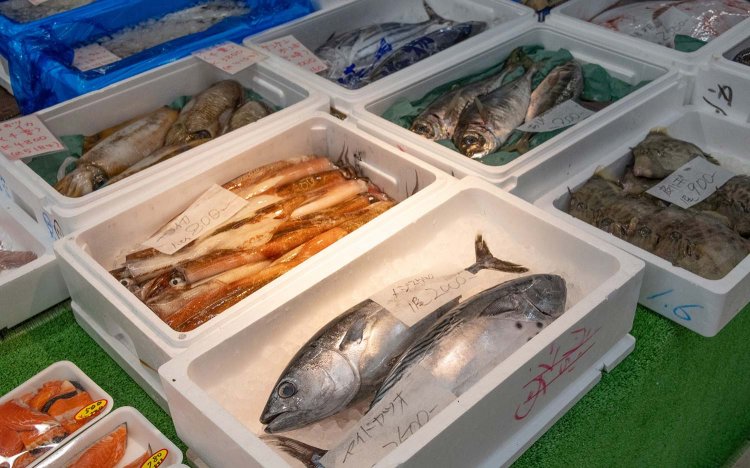 【東京おでんだね】東久留米卸売市場とおでん食材