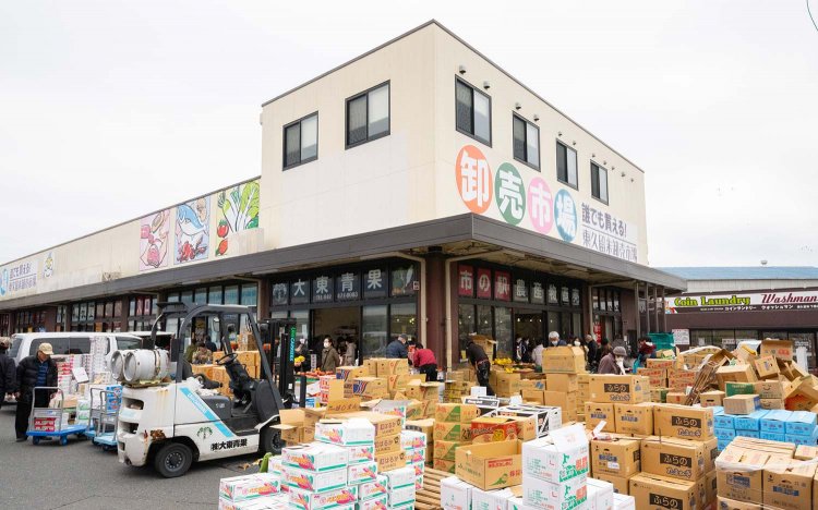 【東京おでんだね】東久留米卸売市場とおでん食材