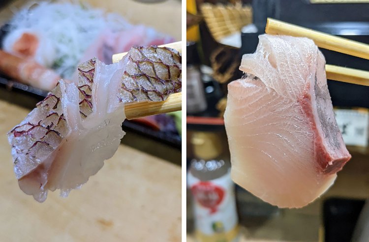 お通しが寿司、点数無視の刺身盛り！入りづらいからこそ、その先に待つ極上酒場／三鷹「むさしの弁慶」