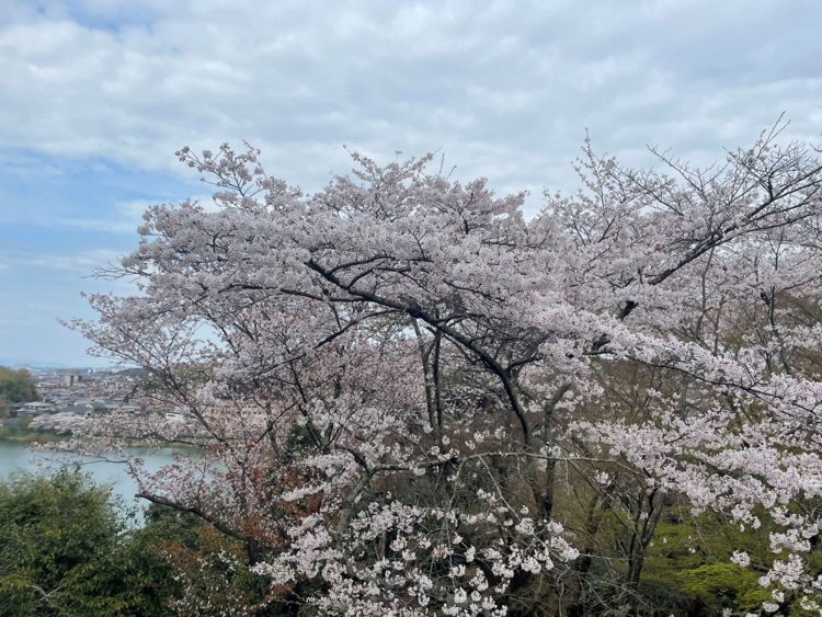 文芸オタク画像1