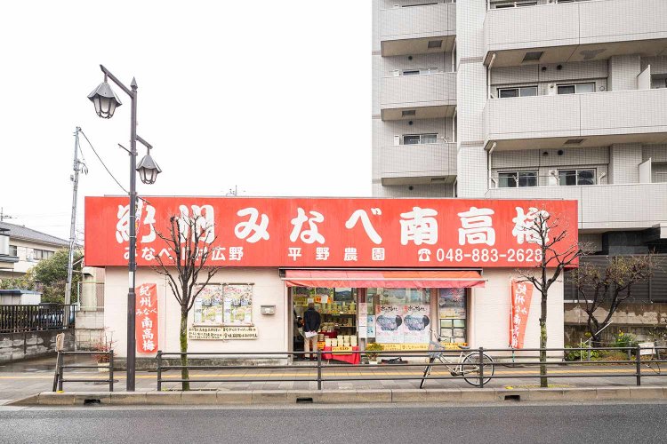 【散歩の達人】浦和