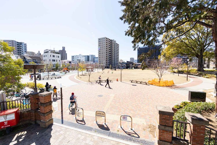 2022年に改修された常盤公園。木は減ったが明るく開放的になった。