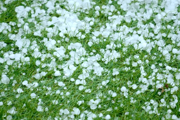 初夏は雹（ひょう）に要注意！ どんなときに降りやすい？ お散歩中に身を守るには？