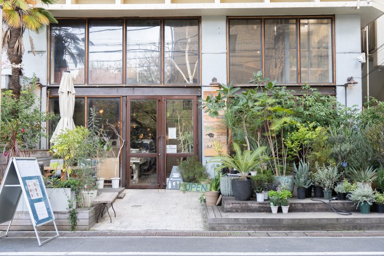 お店の入り口は緑に囲まれている。