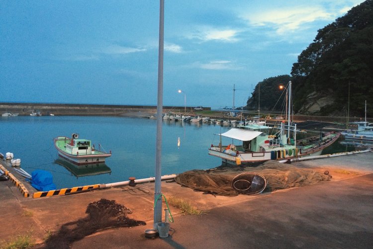 黒潮に乗って、ジンベエザメや多様な生き物が集まる高知県土佐清水市の以布利漁港。『海遊館』の研究所もあるのだ。