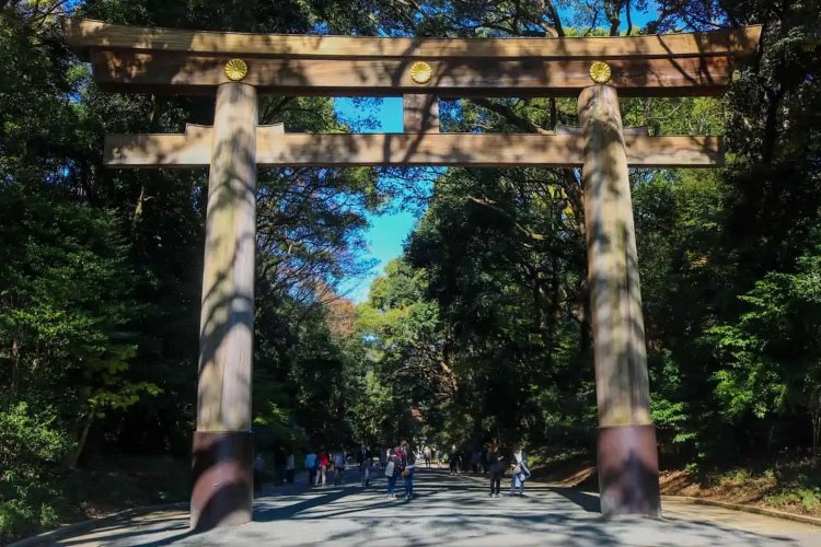 明治神宮の巨大な鳥居。