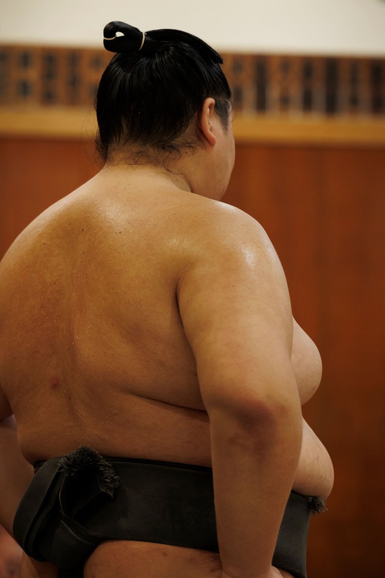 土俵を真剣に見つめる若手の姿が印象的。