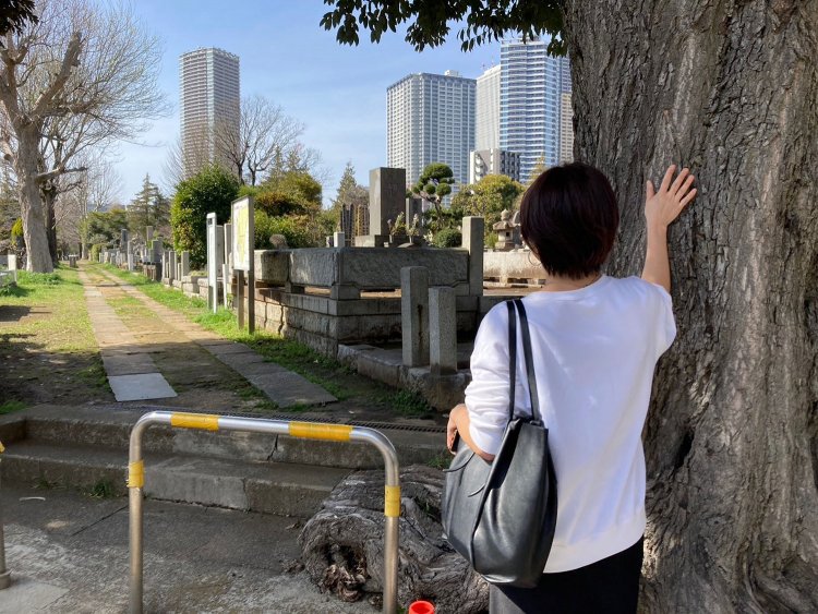 墓地と高層ビルのコントラストがシュールで素敵。