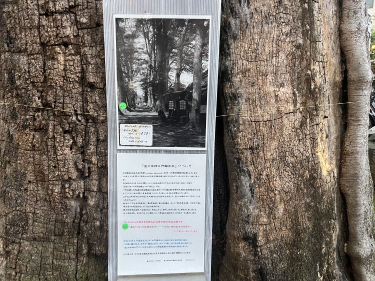 風格がある、とはこういうことを言う。