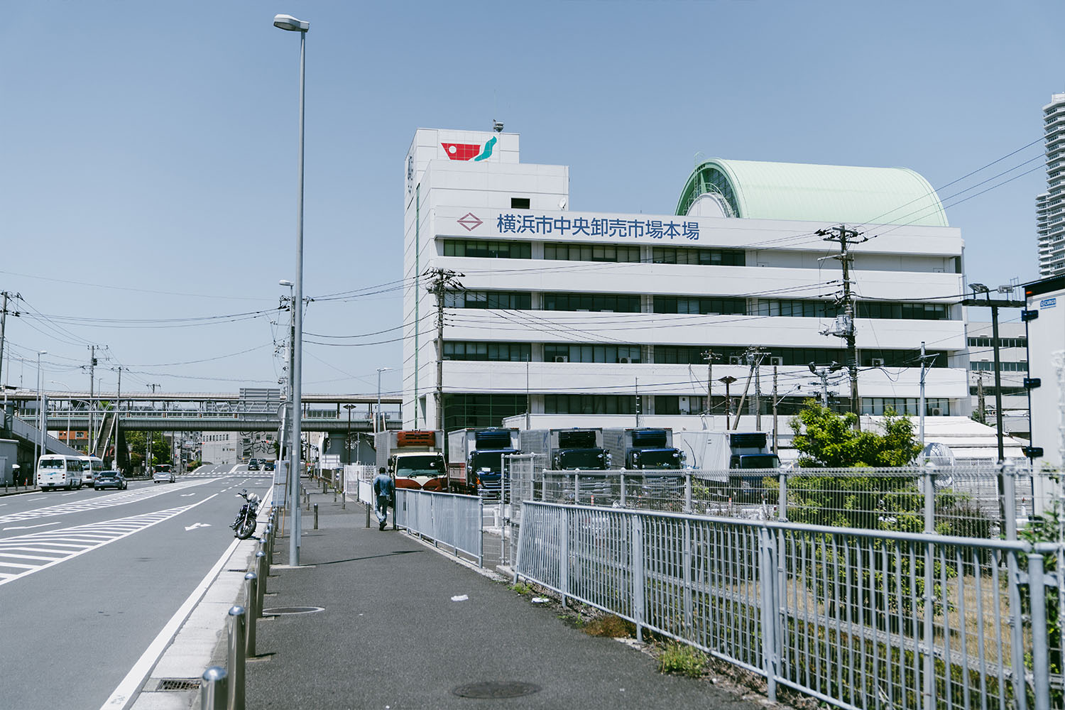 洲崎大神で出会った地元の方におすすめしてもらった横浜市卸売市場に到着。こちらの建物は青果部で、道路の反対側には水産物部があり敷地はとても広い！