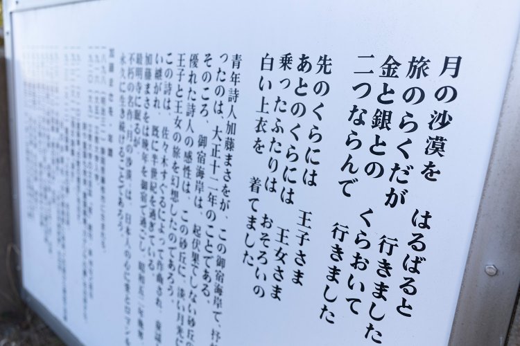 ファンキー公園_M2A9028