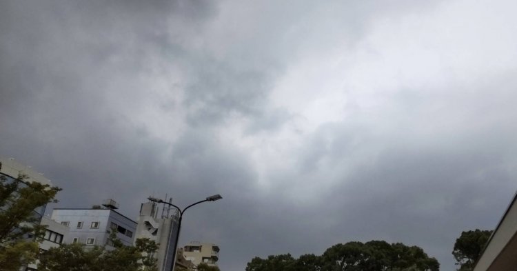 湿気の多い曇りの日はちょっと憂鬱ですが……。