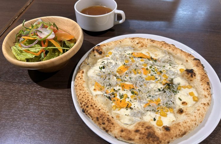 しらすの豆乳濃クリーム1300円とCセット。無農薬いろどりサラダとスープ付き。