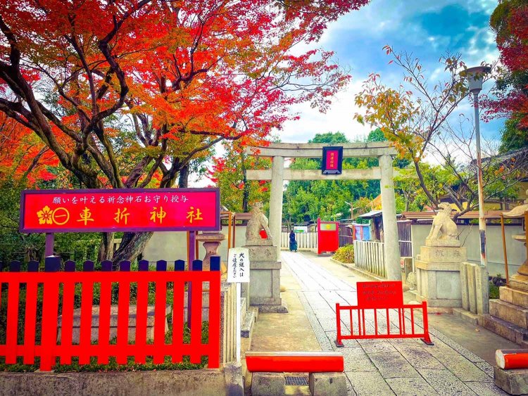 「春はあけぼの」。定子を想う清少納言が、『枕草子』であえて描かなかったこと