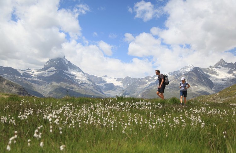 スイスでサステナブルな旅をしよう！ アルプスの絶景と伝統をめぐる④ なんてったってハイキング！