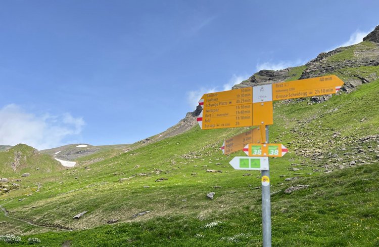 こういう標識が立っているので、コースがわかりやすい。