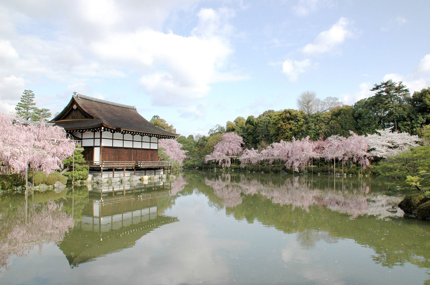春の紅枝垂れ桜、初夏のボタンやハナショウブなどが美しい池泉回遊式庭園。