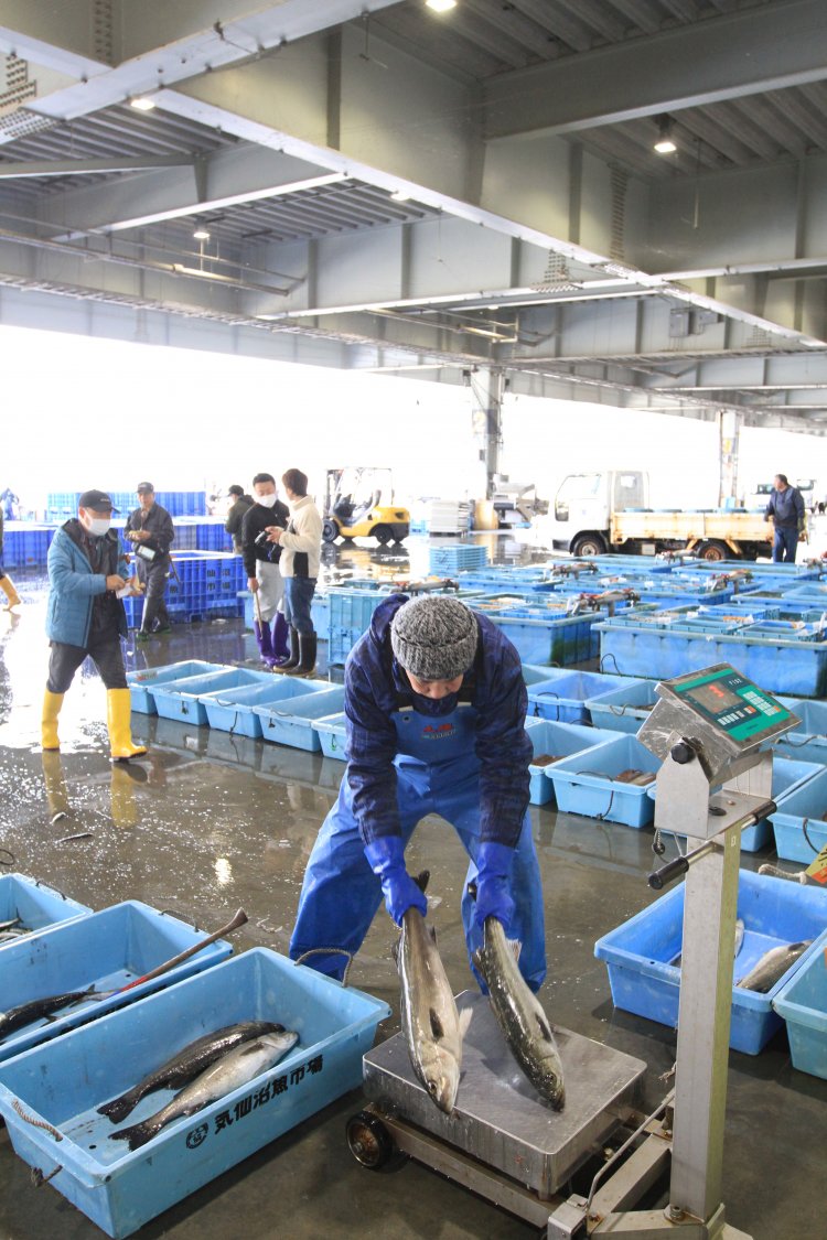 見学は、入札や水揚げが盛んな6～8時頃がおすすめ（写真は許可を取り1階から撮影したもの）。