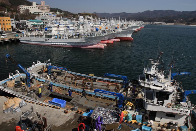 東日本大震災からのリスタート！ 宮城県気仙沼市へ。活気あふれる魚市場、絶景サウナ、復活した喫茶店など盛りだくさん！