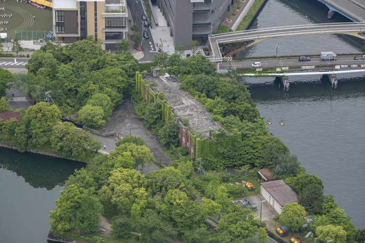 ネオ・ルネッサンス様式の瀟洒（しょうしゃ）な姿が見られるのは正面くらいで、側面部から後ろはもう緑の一部となっていた。