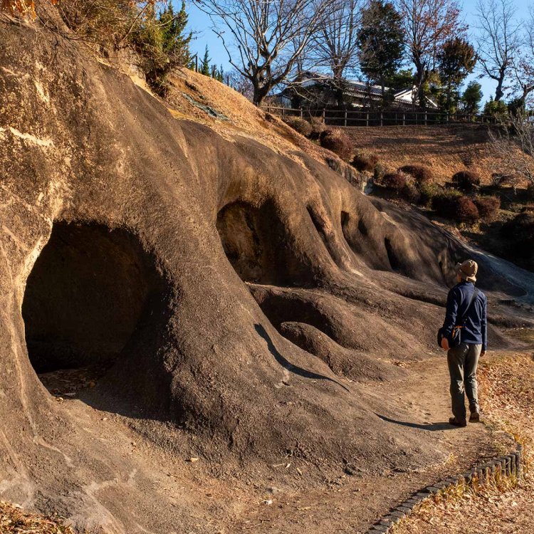 歩道が整備され、見学順路も掲示されている。