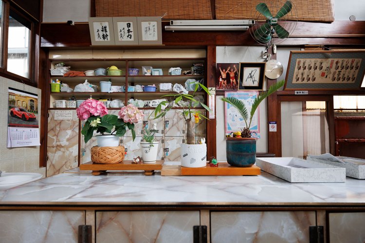 脱衣所にはいつも緑。「お客さんに喜んでもらいたいから」と廣美さん。