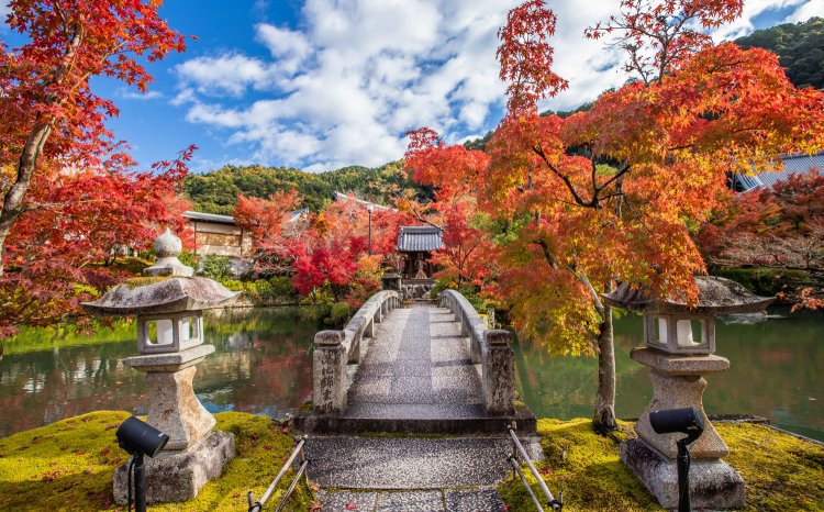 本堂（阿弥陀堂）は、慶長2年（1597）築。本尊のみかえり阿弥陀が知られる。