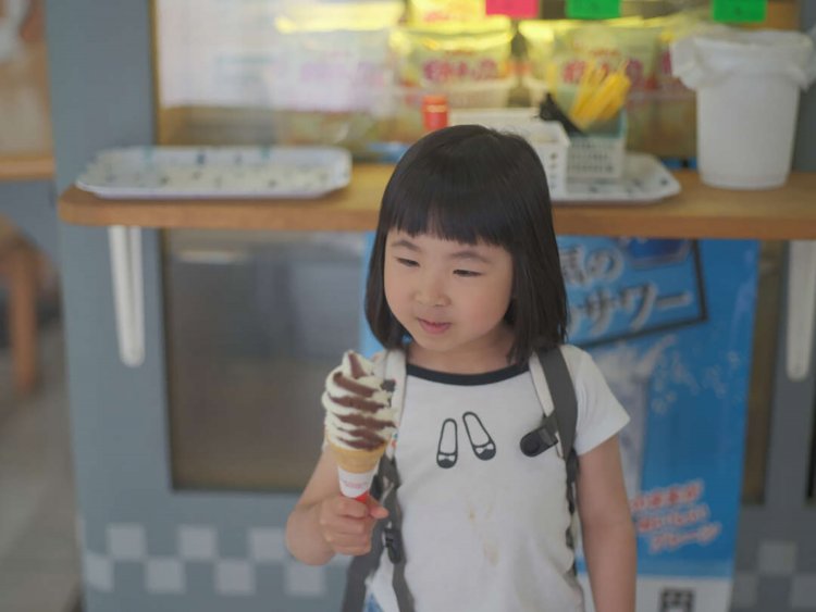 【camell】FUJIFILMのフィルムシミュレーション