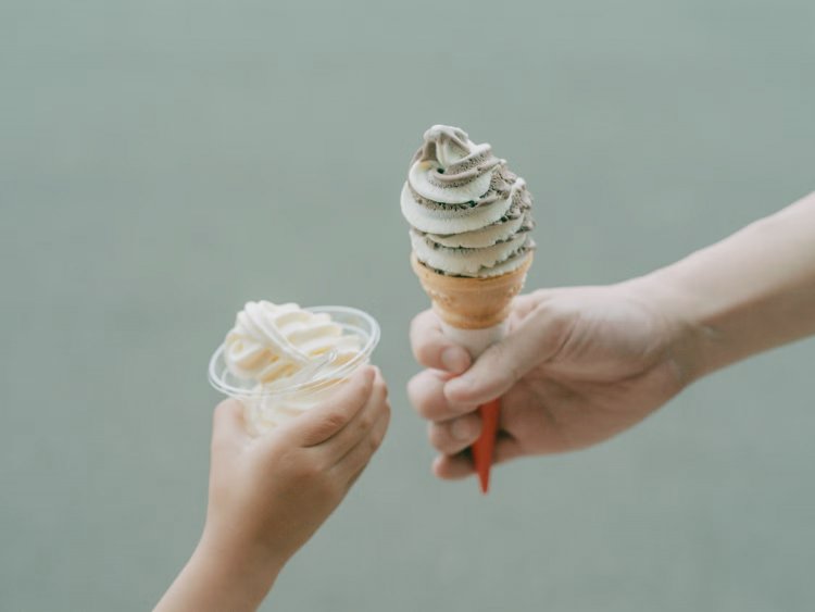 【camell】FUJIFILMのフィルムシミュレーション