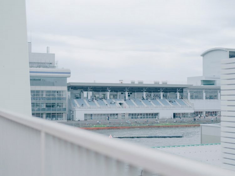 【camell】FUJIFILMのフィルムシミュレーション