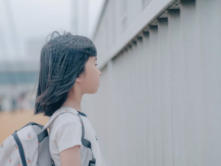 【camell】FUJIFILMのフィルムシミュレーション