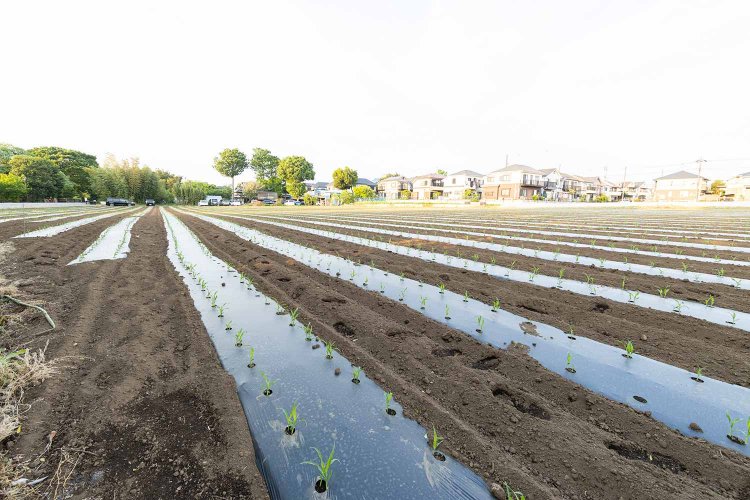 【散歩の達人】練馬練り歩き PART.3