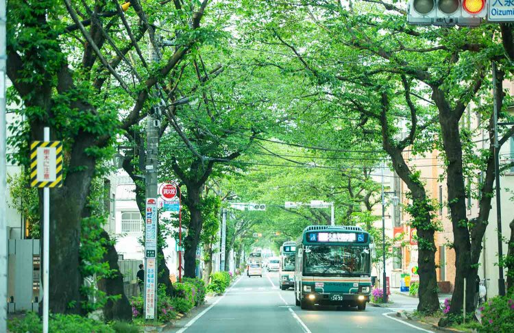 街の大動脈・大泉学園通りはバスの往来が非常に多い。