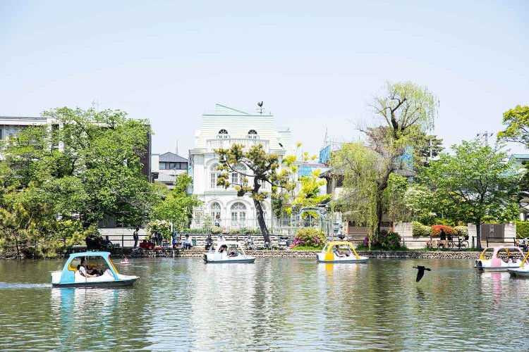 休日の石神井池。