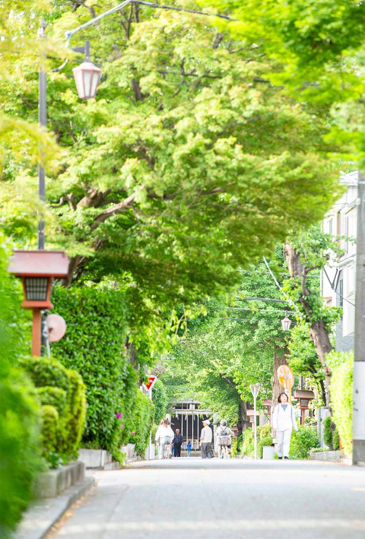 石神井氷川神社の参道。