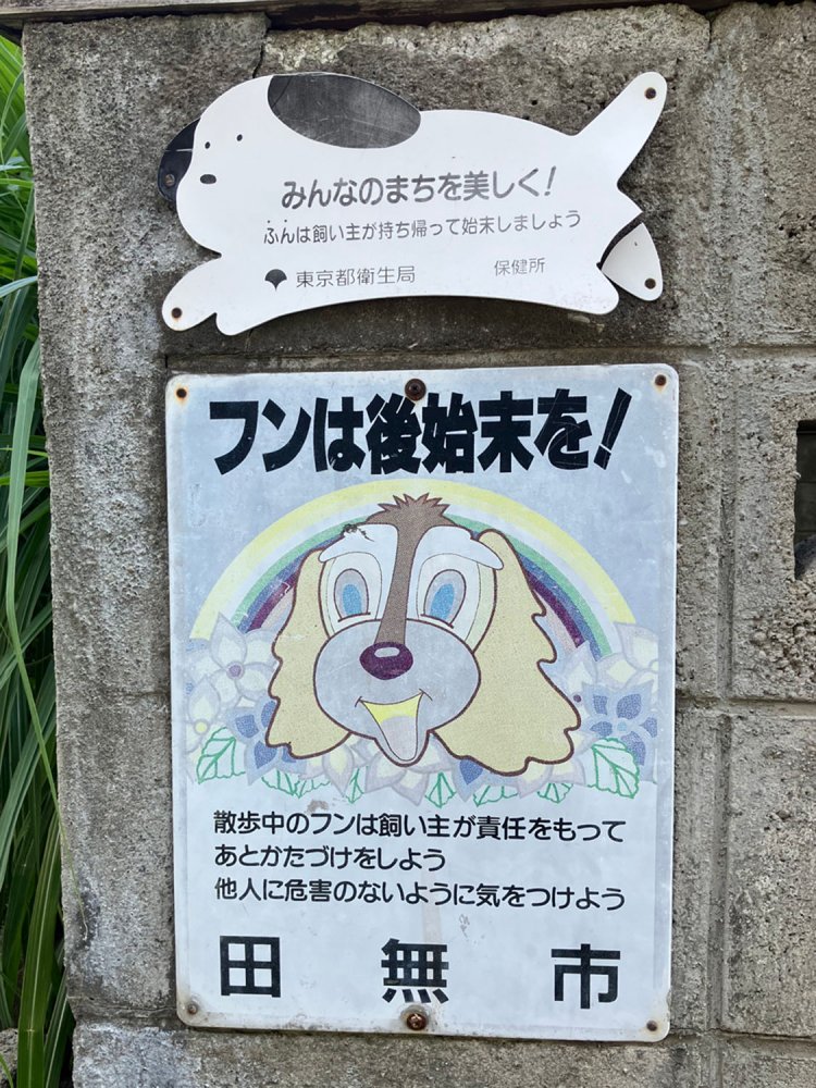 サイケデリックな雰囲気の漂う看板。