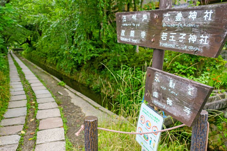 観光名所を結ぶ道。水路には水鳥たちの姿も見え、季節の花が彩る。