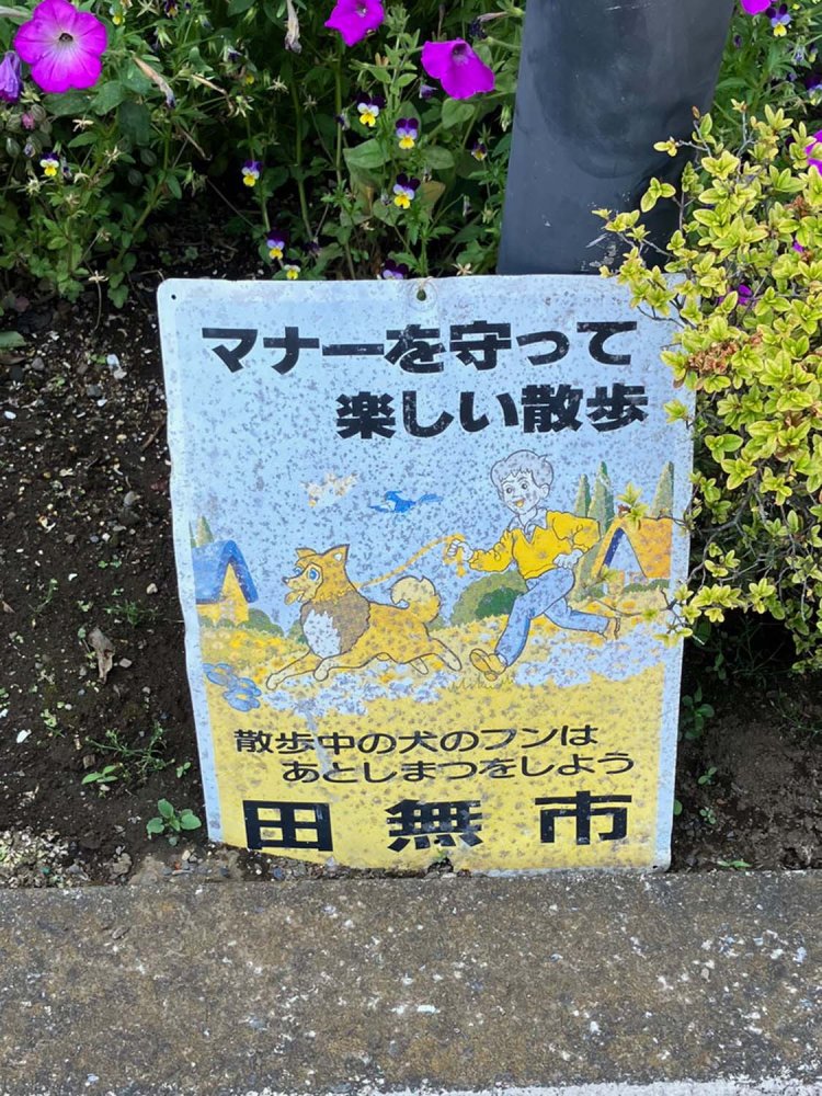 名犬ラッシーのようなしゃれたデザイン。少なくとも23年は経過しているわけである。